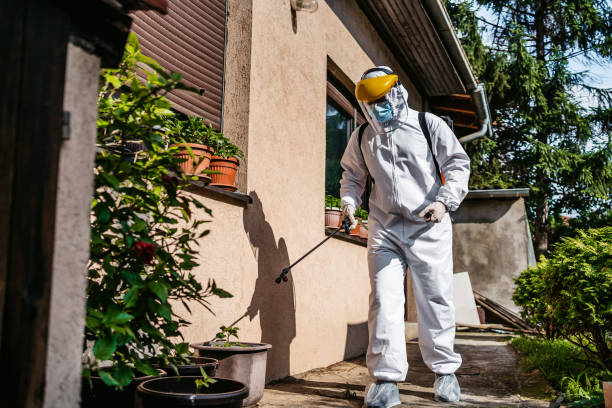 Best Mosquito Control Services  in Bolivar, TN