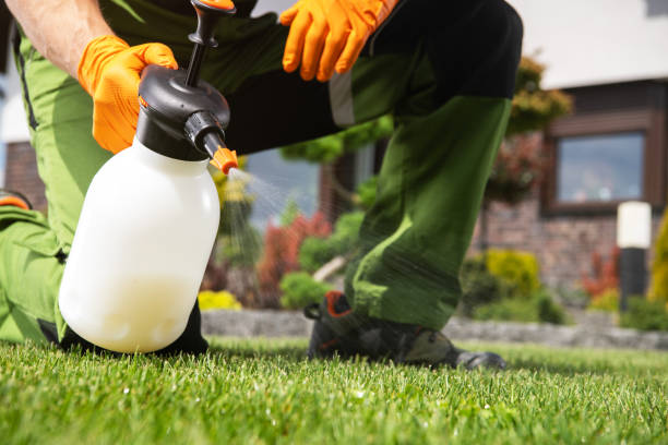 Best Best Pest Control Companies  in Bolivar, TN