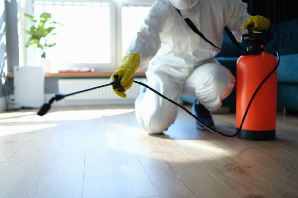 Professional Pest Control in Bolivar, TN