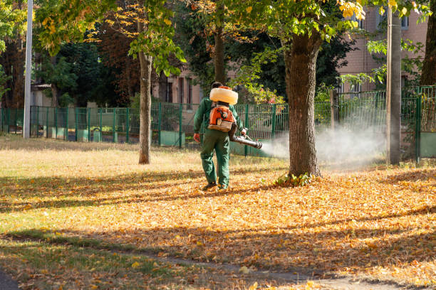 Best Commercial Pest Control Services  in Bolivar, TN