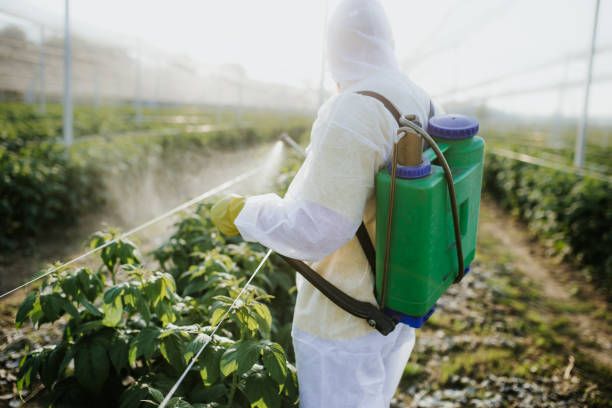 Best Flea Control Services  in Bolivar, TN